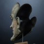 Joker Face Of Insanity