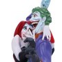 DC Comics: Joker & Harley Quinn