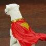 Jonathan Kent And Krypto 2-PACK