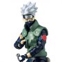 Naruto Shippuden: Kakashi