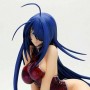 Ikki Tousen: Kanu Unchou DVD China Dress