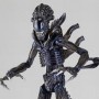 Alien 2: Alien Warrior (Revoltech)
