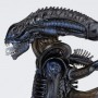 Alien Warrior (Revoltech) (studio)