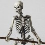 Skeleton Army (Revoltech) (studio)