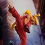 Ken Masters Classic (Pop Culture Shock)