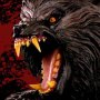 Kessler Wolf