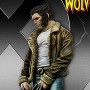 Marvel: Wolverine