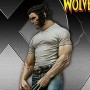 Wolverine (studio)