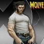 Wolverine (studio)