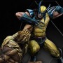 Wolverine Vs. Sabretooth (studio)