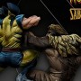 Wolverine Vs. Sabretooth (studio)