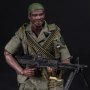 Platoon: King (25th Infantry Division M60 Gunner)