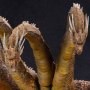 King Ghidorah 2.0