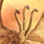 King Ghidorah Gravity Beam