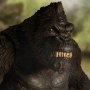 King Kong Of Skull Island Ultimate