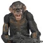 Dawn Of Planet Of Apes Series 2