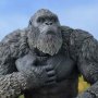 Kong