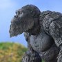 Kong