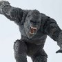 Kong