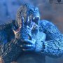 Kong