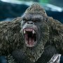 Kong