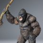 Kong