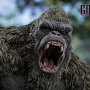 Kong