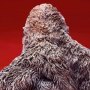 Kong