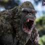 Kong