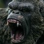 Kong