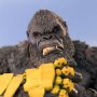 Kong B.E.A.S.T. Glove