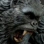 Kong Deluxe