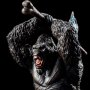 Kong