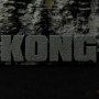 Kong's Battle Axe