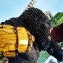 Kong Vs. Skar King Bonus Edition