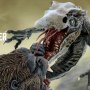 Kong Vs. Skull Crawler Deform Real
