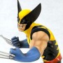 Wolverine Classic Yellow (studio)