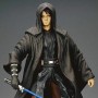 Star Wars: Anakin Skywalker Sith Apprentice