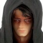 Anakin Skywalker Sith Apprentice (studio)