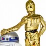 C-3PO and R2-D2 (studio)