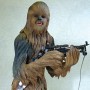 Chewbacca (realita)