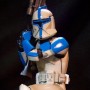 Star Wars: Clone Trooper Lieutenant (Art Of Star Wars Exhibits)