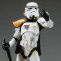 Star Wars: Sandtrooper Squad Leader