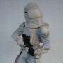 Snowtrooper (realita)