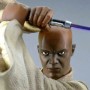 Yoda And Mace Windu (studio)