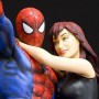 Spider-Man And Mary Jane (studio)