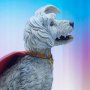 Krypto Premium Format