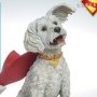 Krypto Premium Format