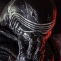 Kylo Ren Legacy