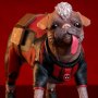Ladypool